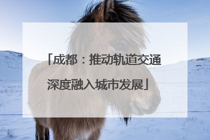 成都：推动轨道交通深度融入城市发展