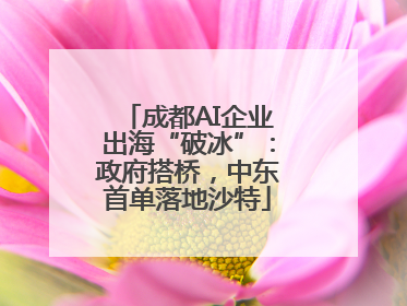 成都AI企业出海“破冰”：政府搭桥，中东首单落地沙特
