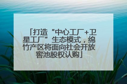 打造“中心工厂+卫星工厂”生态模式，绵竹产区将面向社会开放窖池股权认购