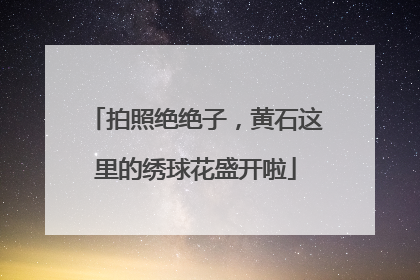 拍照绝绝子，黄石这里的绣球花盛开啦