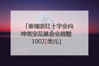 柬埔寨红十字会向坤塔宝花基金会捐赠100万美元