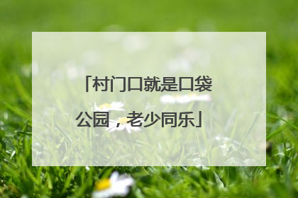 村门口就是口袋公园，老少同乐