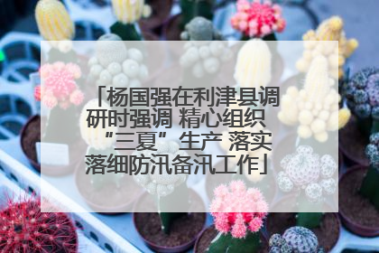 杨国强在利津县调研时强调 精心组织“三夏”生产 落实落细防汛备汛工作