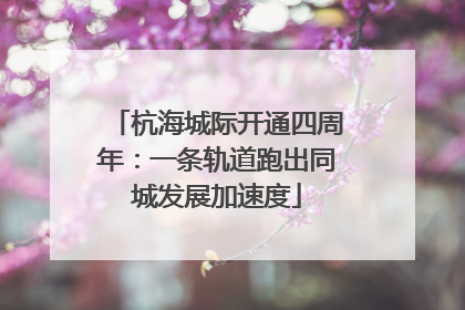 杭海城际开通四周年：一条轨道跑出同城发展加速度