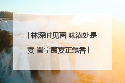 林深时见菌 味浓处是宴 晋宁菌宴正飘香