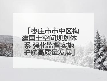 枣庄市市中区构建国土空间规划体系 强化监督实施护航高质量发展