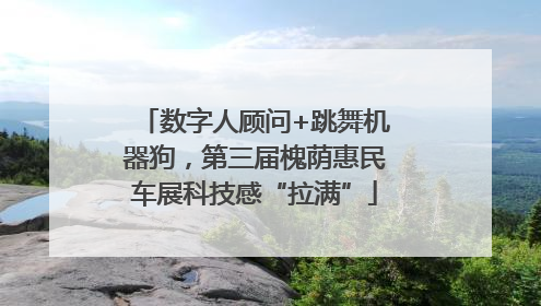 数字人顾问+跳舞机器狗，第三届槐荫惠民车展科技感“拉满”