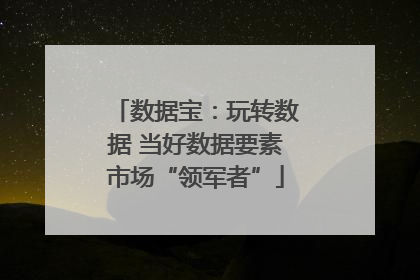 数据宝：玩转数据 当好数据要素市场“领军者”