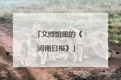 文博馆里的《河南日报》