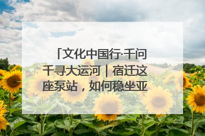 文化中国行·千问千寻大运河｜宿迁这座泵站，如何稳坐亚洲第一宝座？