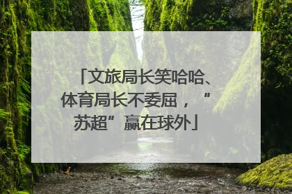 文旅局长笑哈哈、体育局长不委屈，“苏超”赢在球外