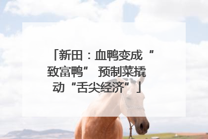 新田：血鸭变成“致富鸭” 预制菜撬动“舌尖经济”