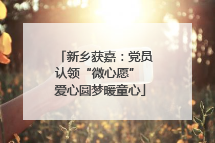 新乡获嘉：党员认领“微心愿” 爱心圆梦暖童心