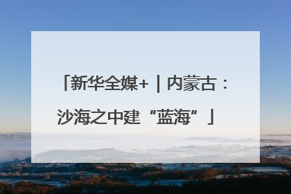 新华全媒+｜内蒙古：沙海之中建“蓝海”