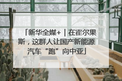 新华全媒+｜在霍尔果斯，这群人让国产新能源汽车“跑”向中亚