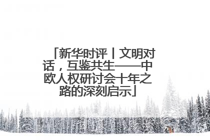 新华时评丨文明对话，互鉴共生——中欧人权研讨会十年之路的深刻启示