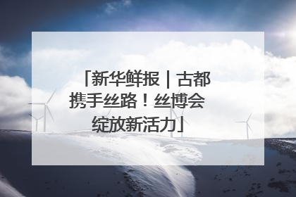 新华鲜报｜古都携手丝路！丝博会绽放新活力
