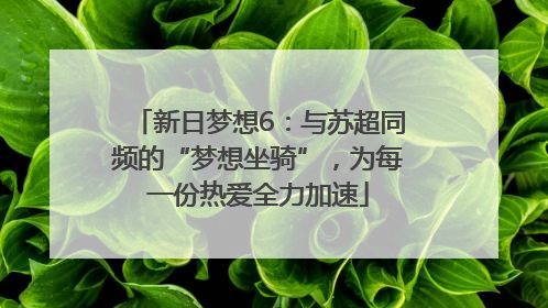 新日梦想6：与苏超同频的“梦想坐骑”，为每一份热爱全力加速