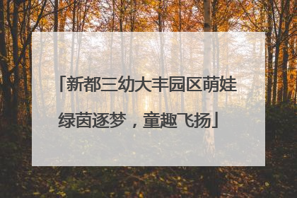 新都三幼大丰园区萌娃绿茵逐梦，童趣飞扬