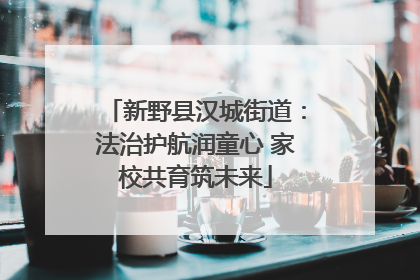 新野县汉城街道：法治护航润童心 家校共育筑未来