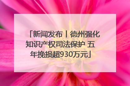新闻发布丨德州强化知识产权司法保护 五年挽损超930万元