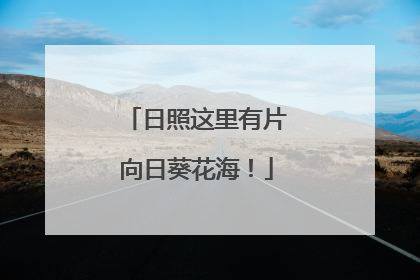 日照这里有片向日葵花海！