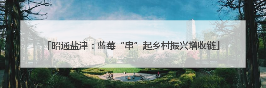 昭通盐津：蓝莓“串”起乡村振兴增收链