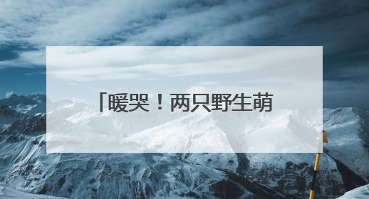 暖哭！两只野生萌宝在抚松林业局“住”上了VIP病房