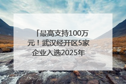 最高支持100万元！武汉经开区5家企业入选2025年度武汉市重点研发计划拟立项项目名单