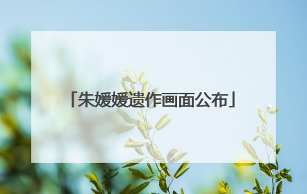 朱媛媛遗作画面公布