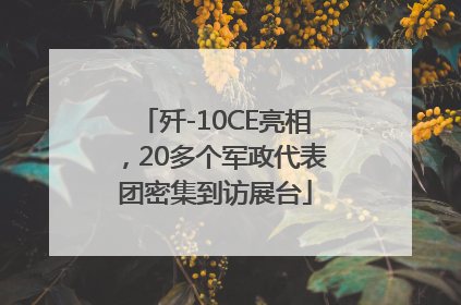 歼-10CE亮相，20多个军政代表团密集到访展台