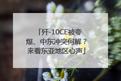 歼-10CE被夸爆、中东冲突何解？来看东亚地区心声