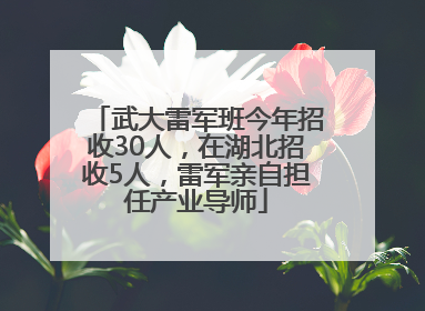 武大雷军班今年招收30人，在湖北招收5人，雷军亲自担任产业导师