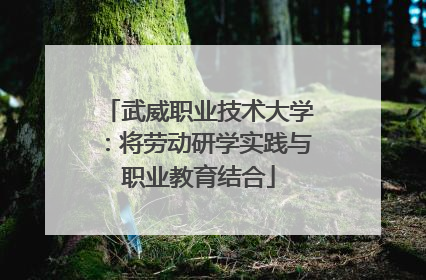 武威职业技术大学：将劳动研学实践与职业教育结合