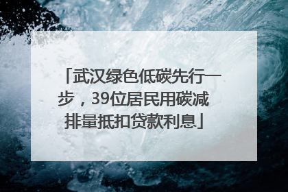 武汉绿色低碳先行一步，39位居民用碳减排量抵扣贷款利息