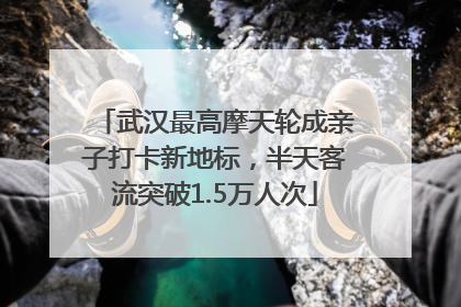武汉最高摩天轮成亲子打卡新地标，半天客流突破1.5万人次