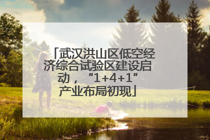 武汉洪山区低空经济综合试验区建设启动，“1+4+1”产业布局初现