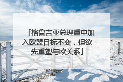 格鲁吉亚总理重申加入欧盟目标不变，但欲先重塑与欧关系