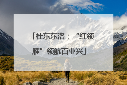 桂东东洛：“红领雁”领航百业兴