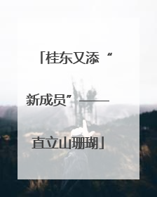 桂东又添“新成员”——直立山珊瑚