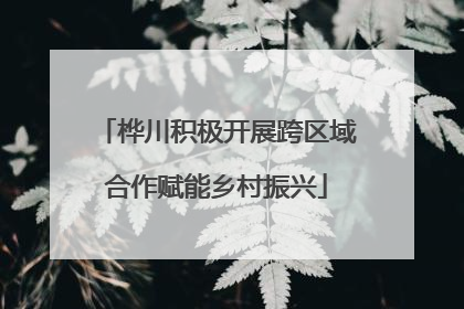 桦川积极开展跨区域合作赋能乡村振兴