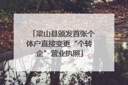 梁山县颁发首张个体户直接变更“个转企”营业执照