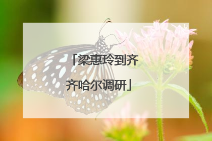 梁惠玲到齐齐哈尔调研