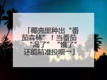 椰壳里种出“番茄森林”！当番茄“渴了”“饿了”还能精准投喂→