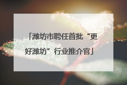 潍坊市聘任首批“更好潍坊”行业推介官