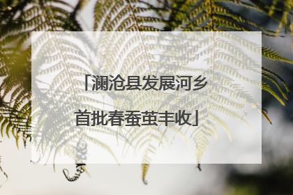澜沧县发展河乡首批春蚕茧丰收