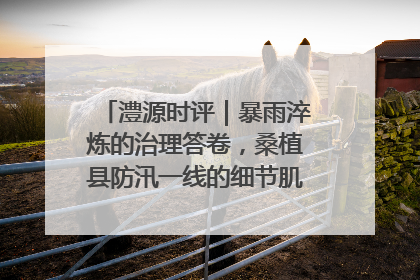 澧源时评｜暴雨淬炼的治理答卷，桑植县防汛一线的细节肌理与体系力量
