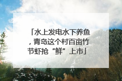 水上发电水下养鱼，青岛这个村百亩竹节虾抢“鲜”上市