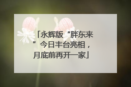 永辉版“胖东来”今日丰台亮相，月底前再开一家