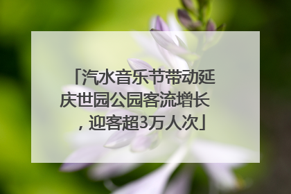 汽水音乐节带动延庆世园公园客流增长，迎客超3万人次